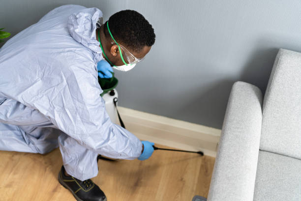 Best Fumigation Services  in Troy, MI